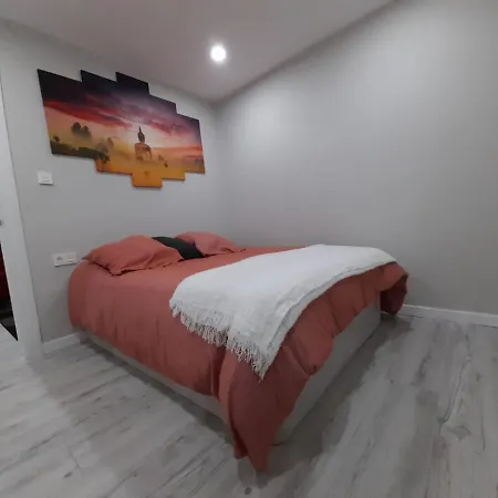Apartment Apartamento Turistico Izokin1
